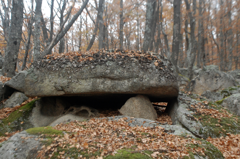 ���������,�� �� ������ �������� ���������