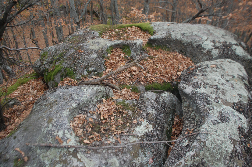 ���������,�� �� ������ �������� ���������