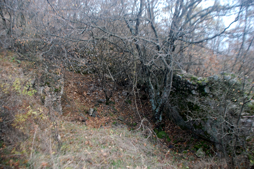 ���������,�� �� ������ �������� ���������