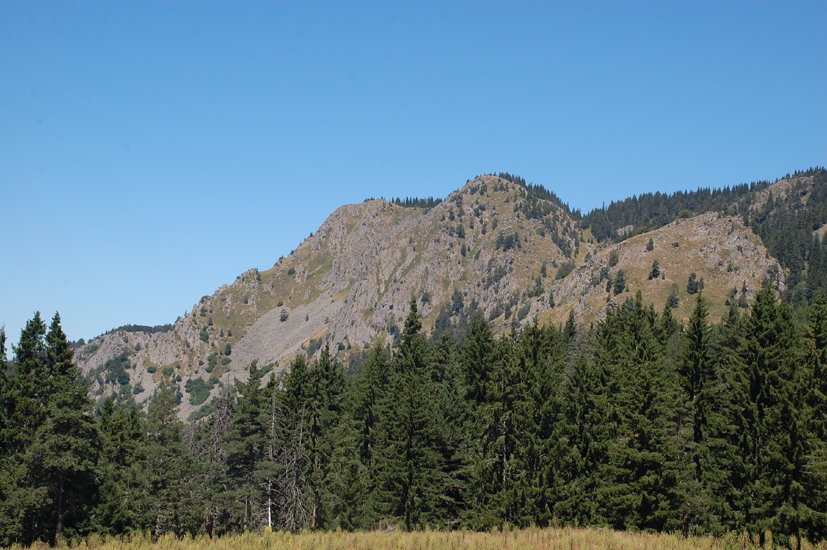 DSC_7243-1.jpg