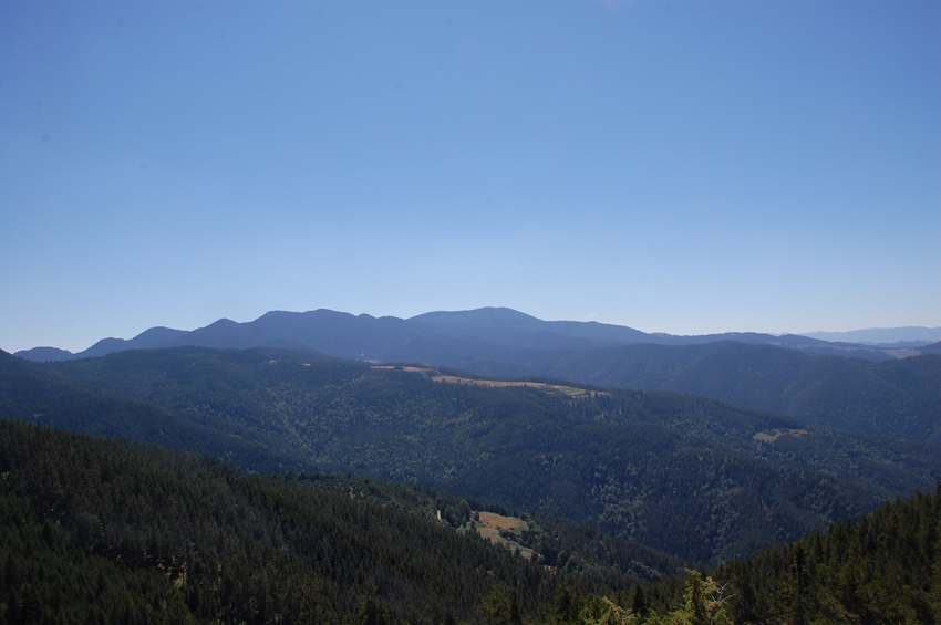 DSC_7258-1.jpg