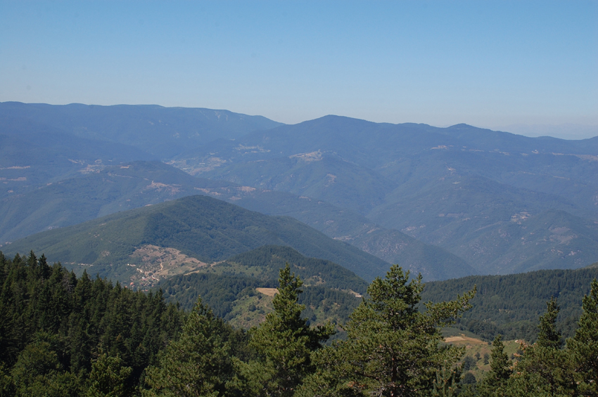 DSC_7262-1.jpg