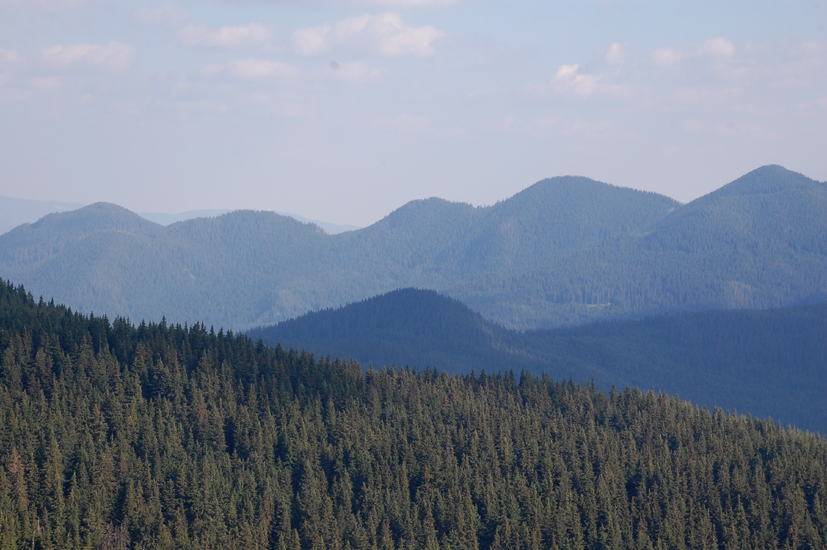 DSC_8623-1.jpg