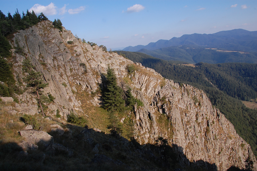 DSC_8685-1.jpg