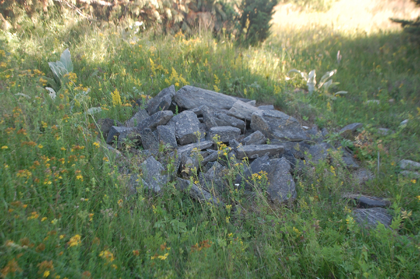 ���������,�� �� ������ �������� ���������