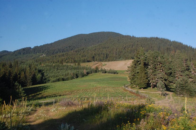 ���������,�� �� ������ �������� ���������