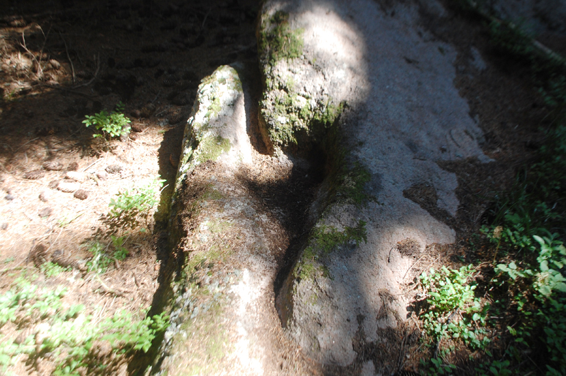 ���������,�� �� ������ �������� ���������