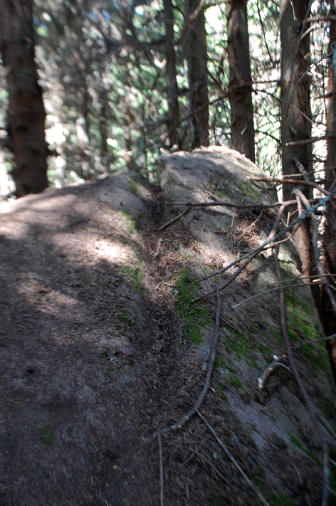 ���������,�� �� ������ �������� ���������