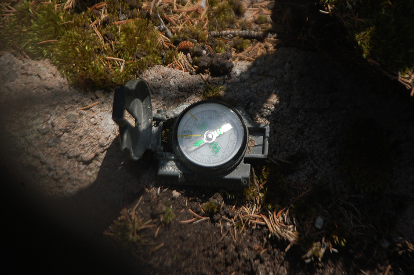 ���������,�� �� ������ �������� ���������