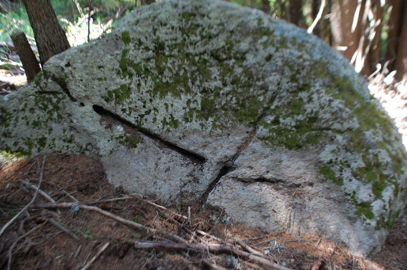 ���������,�� �� ������ �������� ���������