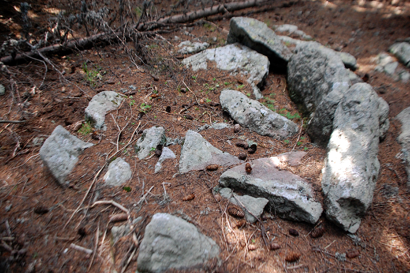 ���������,�� �� ������ �������� ���������