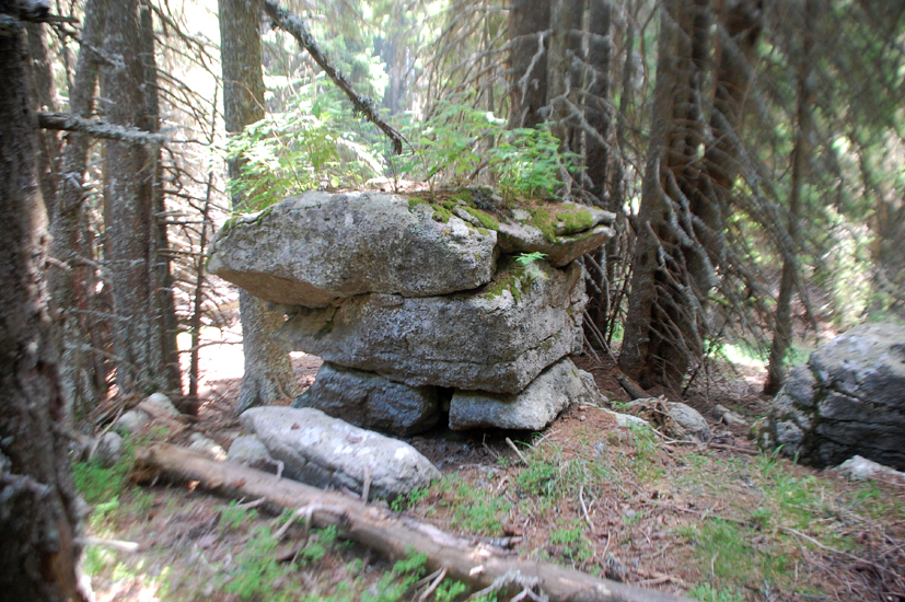 ���������,�� �� ������ �������� ���������