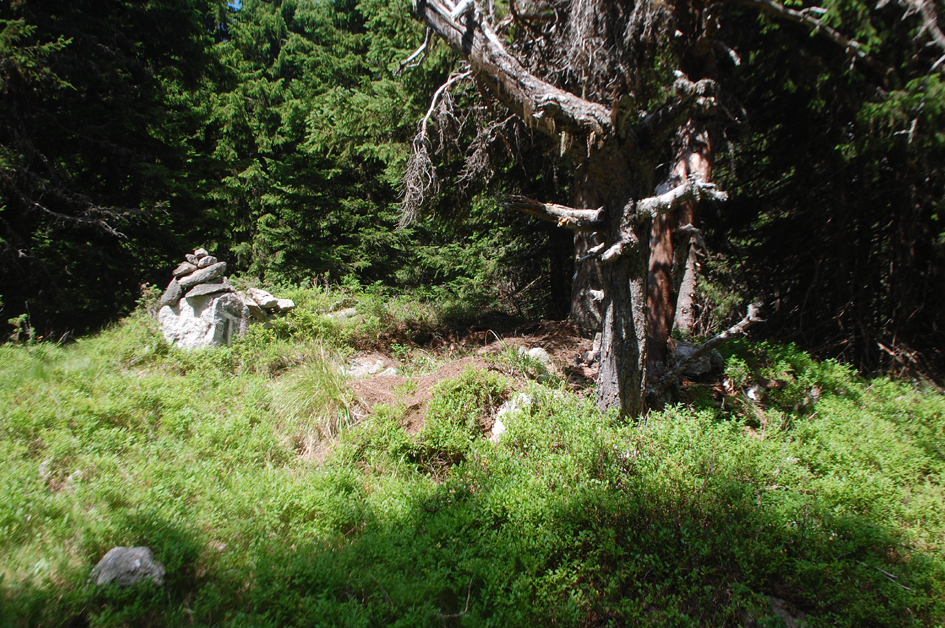 ���������,�� �� ������ �������� ���������