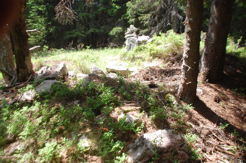 ���������,�� �� ������ �������� ���������