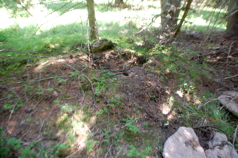 ���������,�� �� ������ �������� ���������