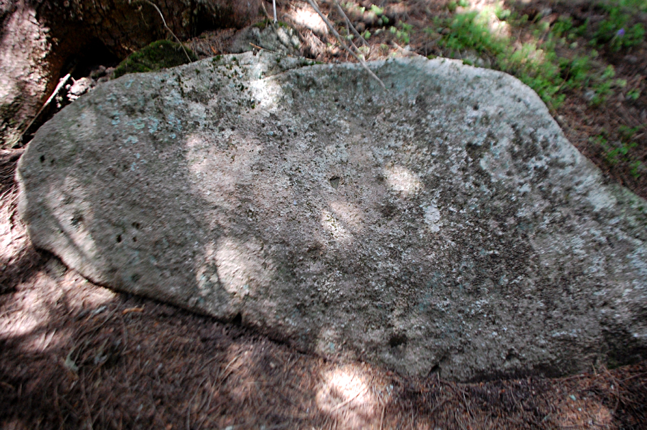 ���������,�� �� ������ �������� ���������