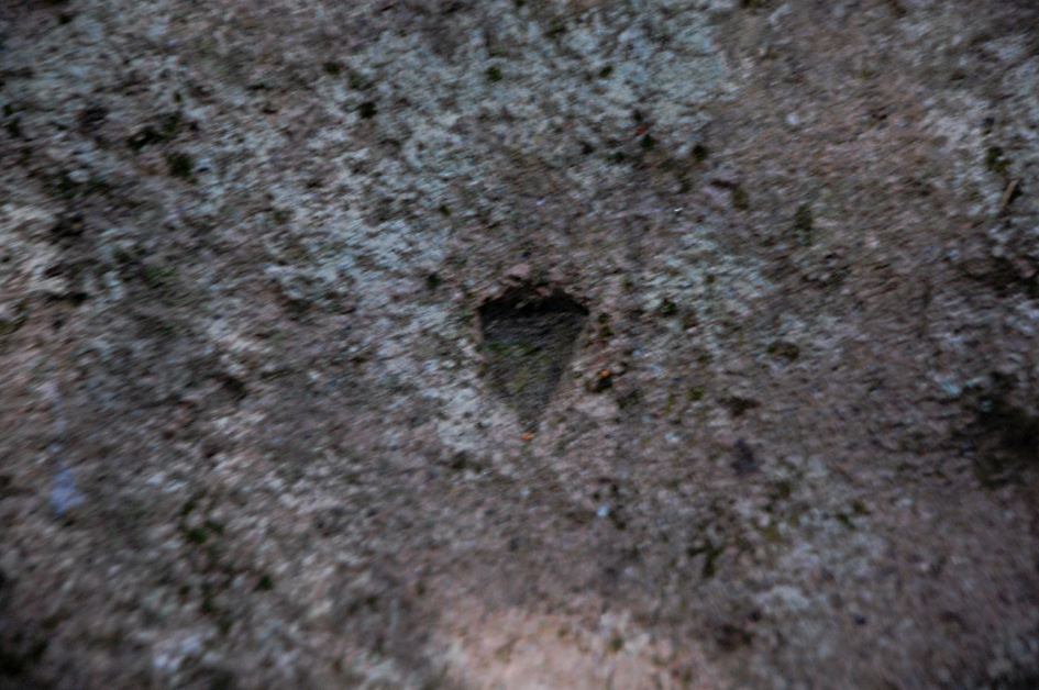 ���������,�� �� ������ �������� ���������