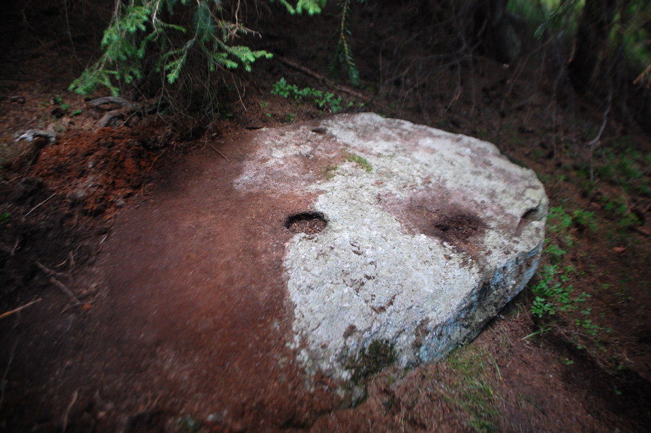 ���������,�� �� ������ �������� ���������