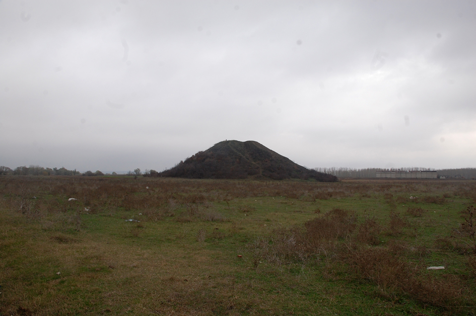 ���������,�� �� ������ �������� ���������