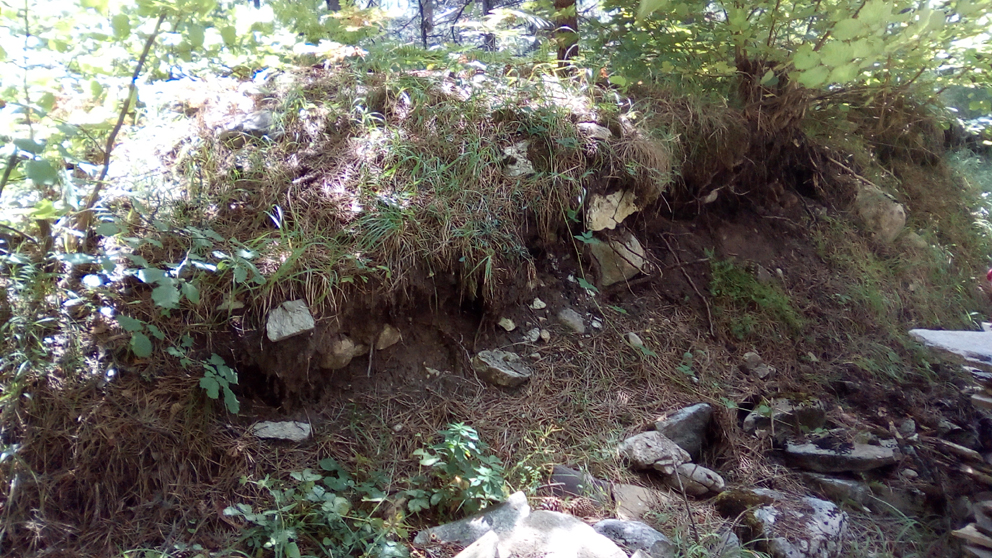 ���������,�� �� ������ �������� ���������