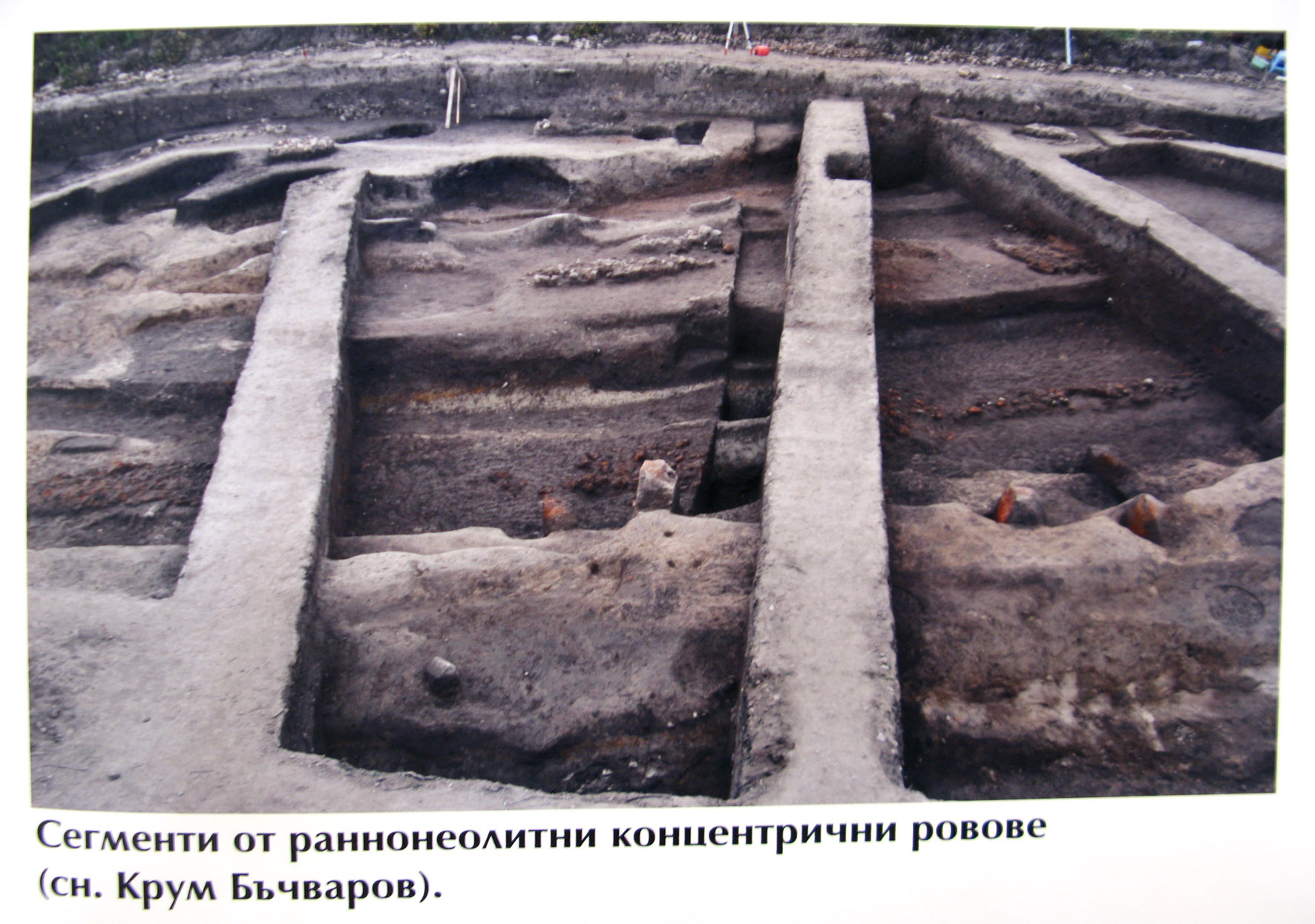 ���������,�� �� ������ �������� ���������