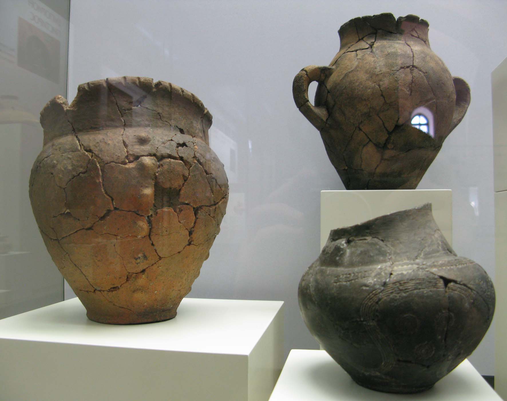 ���������,�� �� ������ �������� ���������