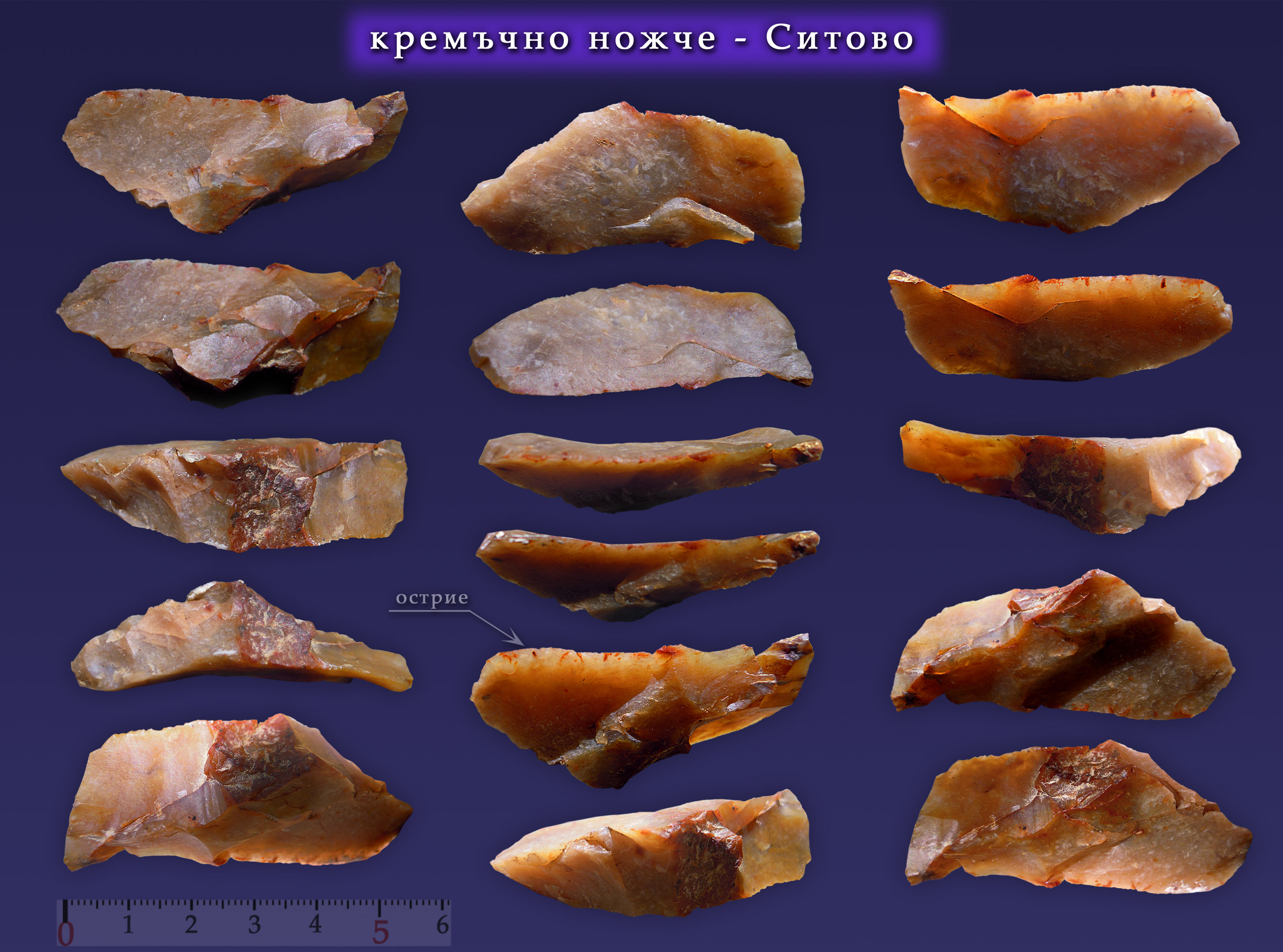 ���������,�� �� ������ �������� ���������