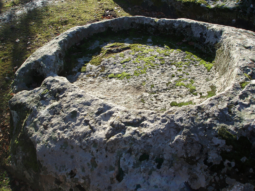 ���������,�� �� ������ �������� ���������