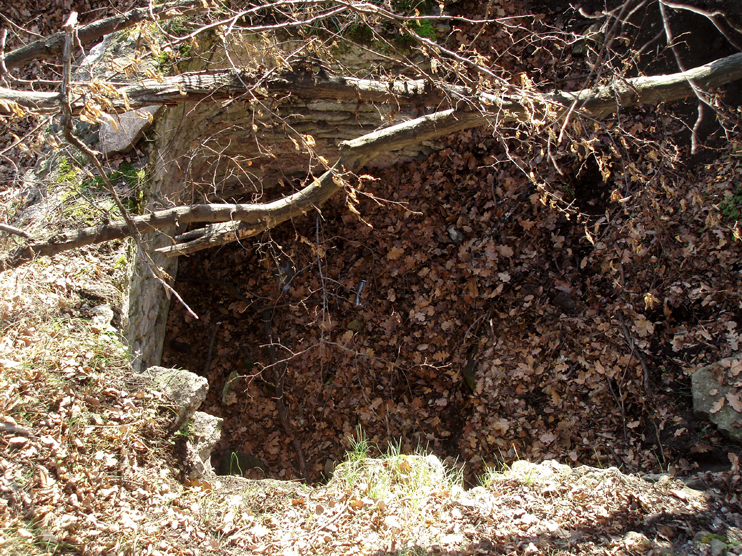 ���������,�� �� ������ �������� ���������