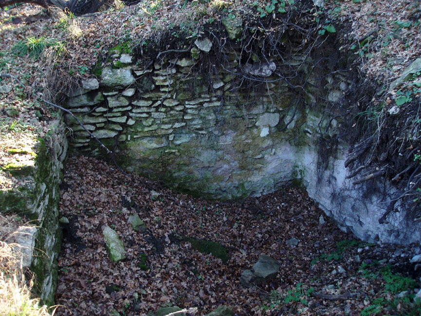 ���������,�� �� ������ �������� ���������