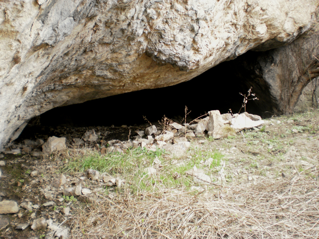 ���������,�� �� ������ �������� ���������