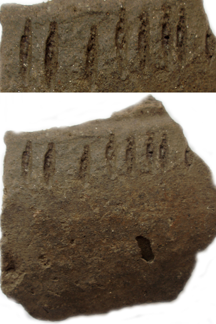 ���������,�� �� ������ �������� ���������