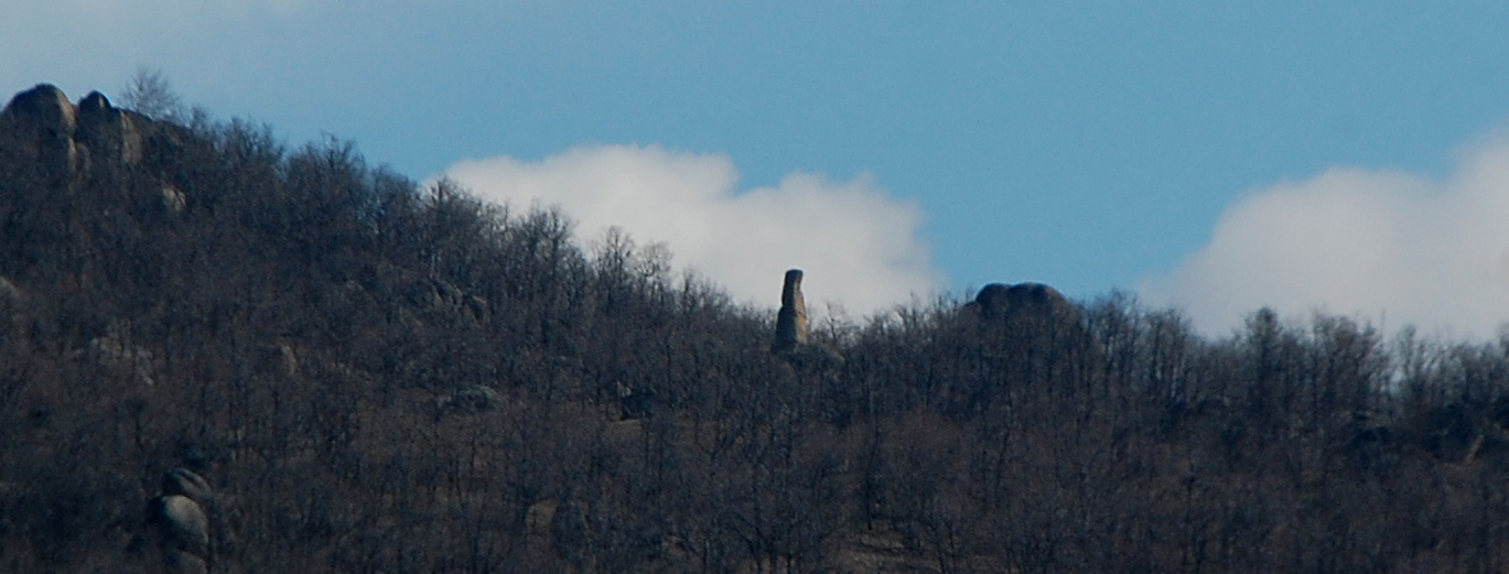 ���������,�� �� ������ �������� ���������