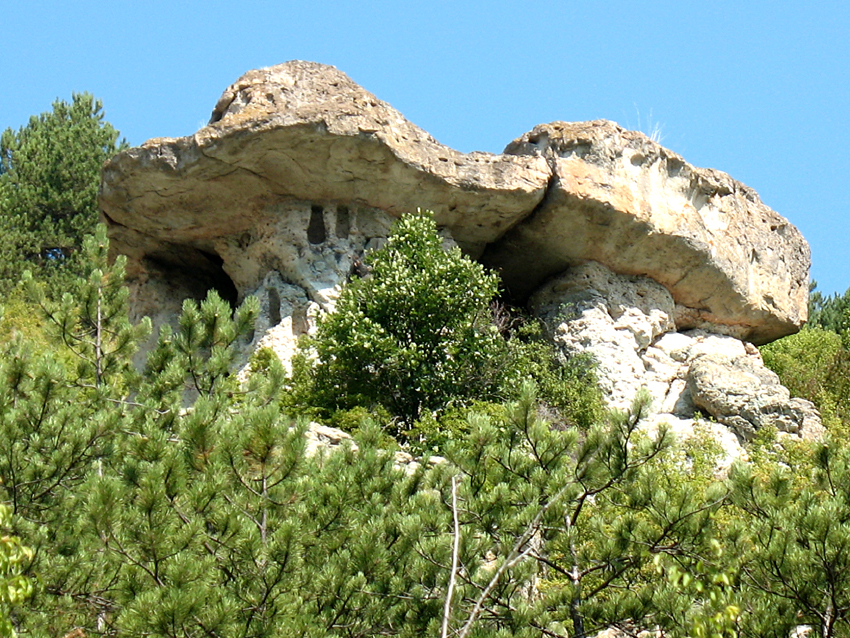 ���������,�� �� ������ �������� ���������