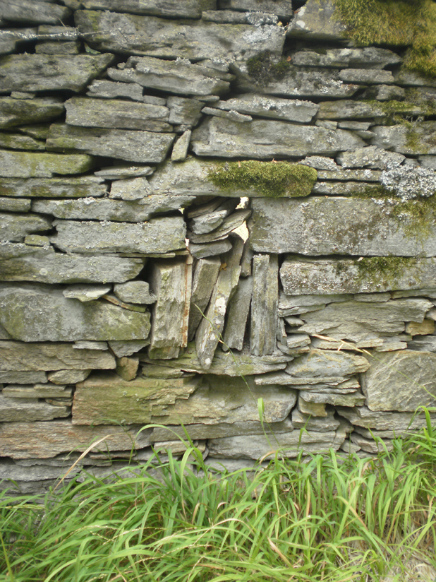 ���������,�� �� ������ �������� ���������