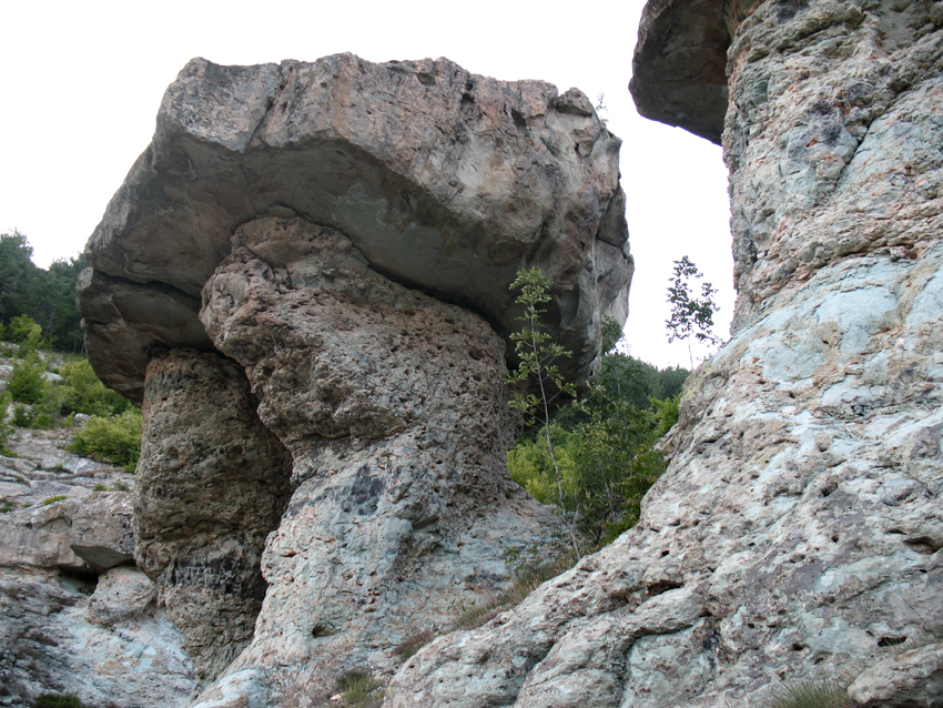 ���������,�� �� ������ �������� ���������