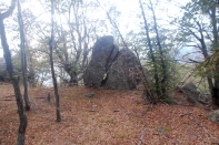 DSC_5707-1.jpg