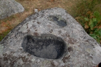 DSC_5720-1.jpg