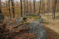 DSC_5945-1.jpg