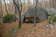 DSC_5960-1.jpg