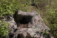 DSC_7201-1.jpg