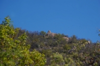 DSC_7213-1.jpg