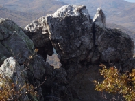 P1010238-1.jpg
