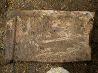 P3100024-1.jpg