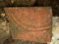 P3100038-1.jpg