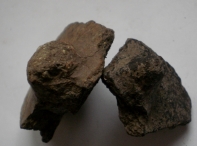P3120101-1.jpg