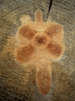 PC110004.jpg