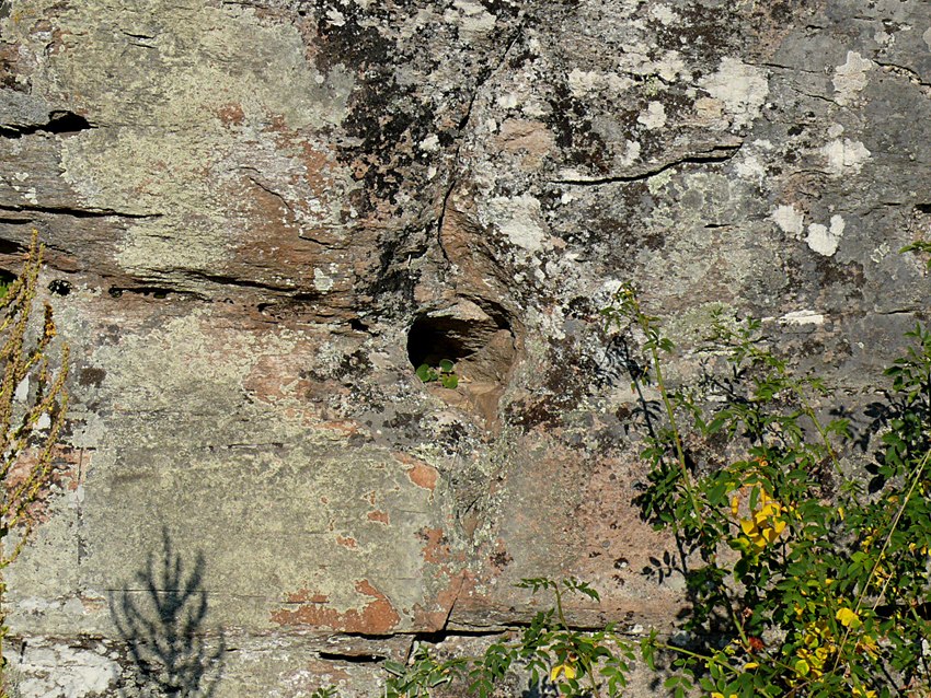 ���������,�� �� ������ �������� ���������