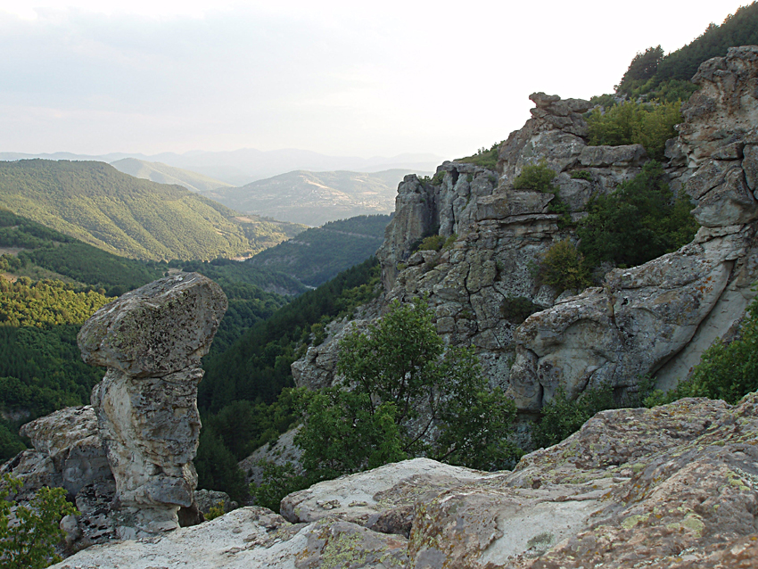 ���������,�� �� ������ �������� ���������