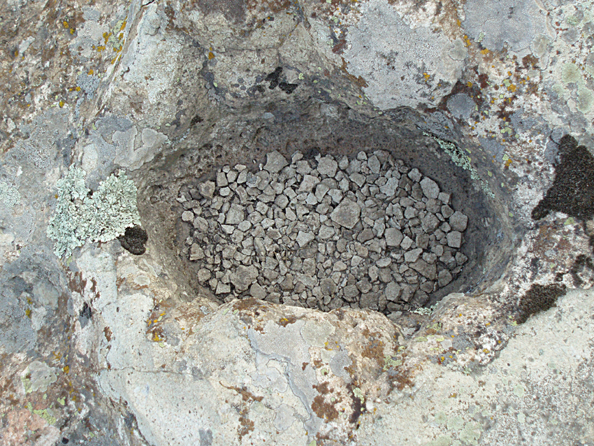 ���������,�� �� ������ �������� ���������